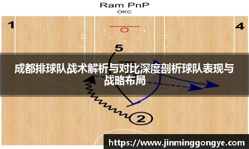成都排球队战术解析与对比深度剖析球队表现与战略布局