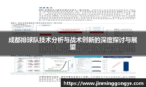 成都排球队技术分析与战术创新的深度探讨与展望