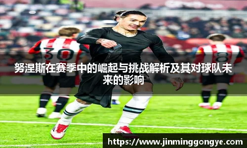努涅斯在赛季中的崛起与挑战解析及其对球队未来的影响