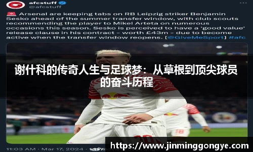 谢什科的传奇人生与足球梦：从草根到顶尖球员的奋斗历程